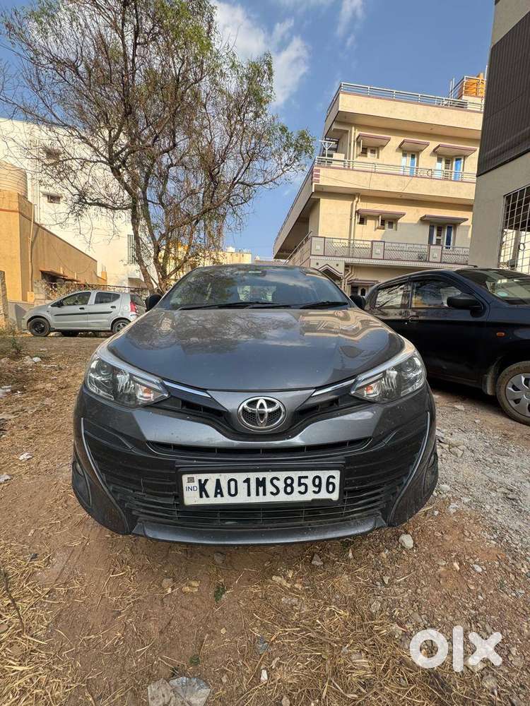 2019 Model