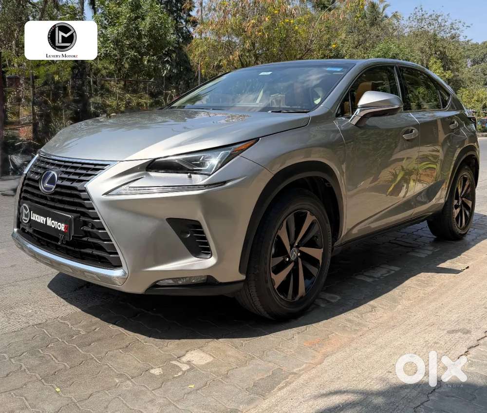 Lexus Nx, 2019, Petrol
