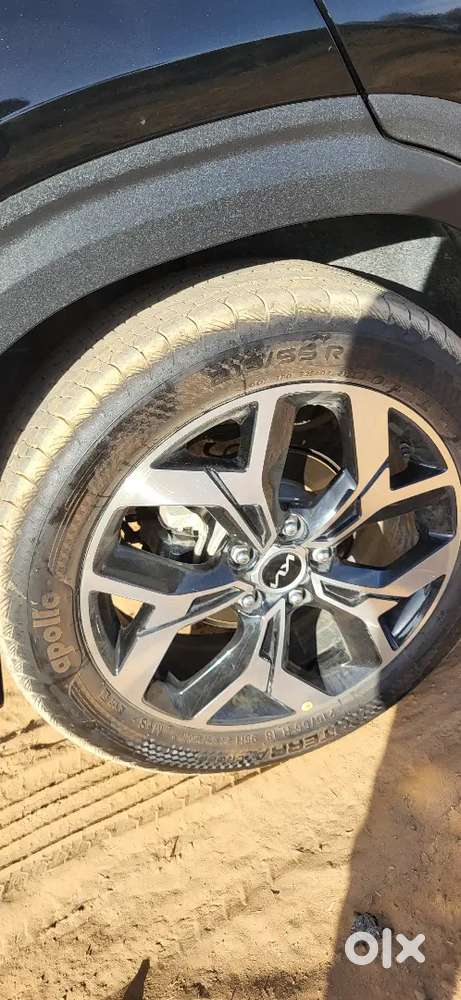 Kia Seltos 2024 Petrol Good Condition