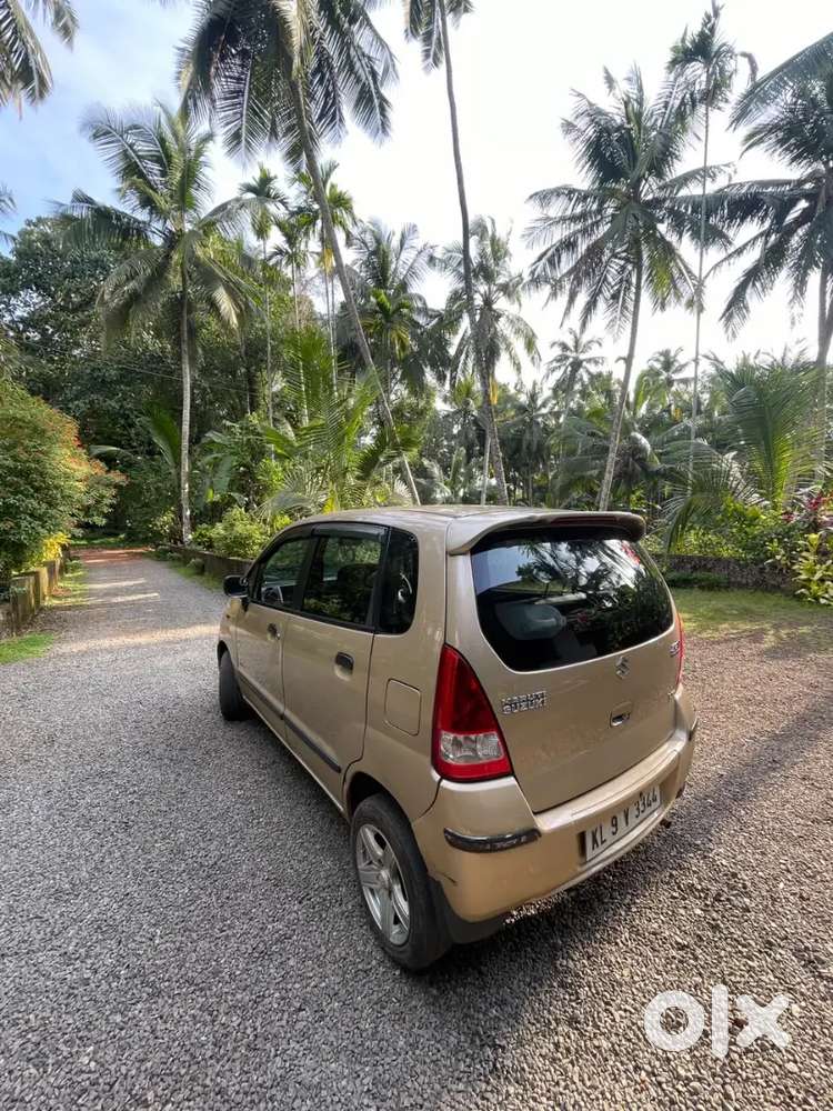 Family Used Zen Estilo