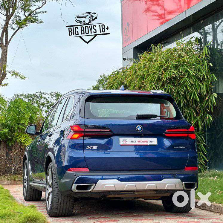 Bmw X5 Xdrive 30d, 2019, Diesel