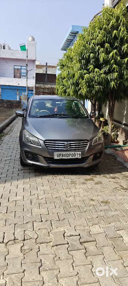Ciaz Car For Sale