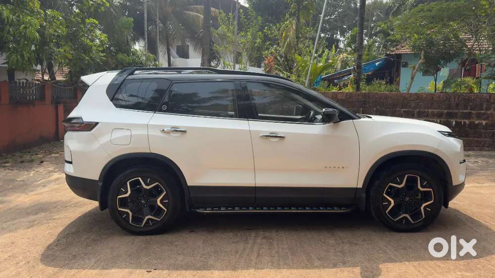 Immaculate Condition Safari