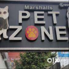Marshalls Petzone Billing and Sales Executive