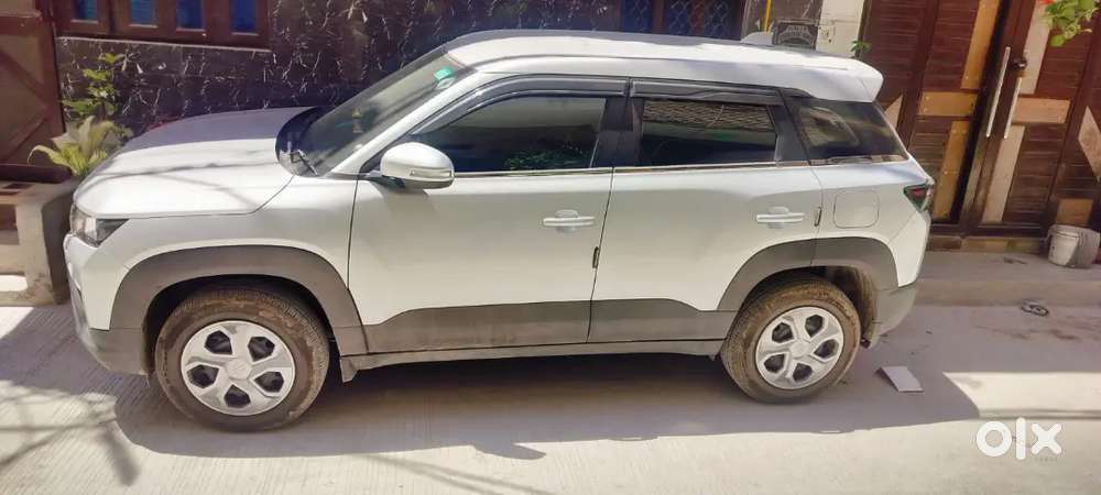 Maruti Suzuki Brezza 2025 Cng & Hybrids 10000 Km Driven