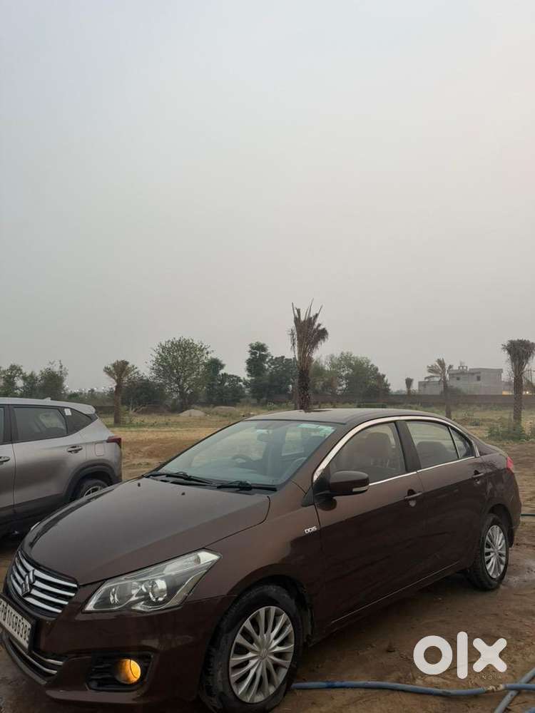 Maruti Suzuki Diesel 2016