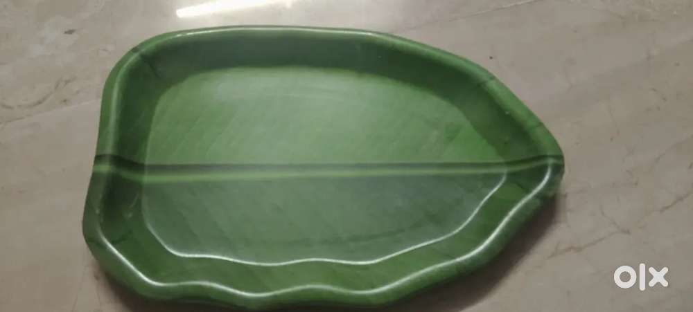 Small Dish of Plastic