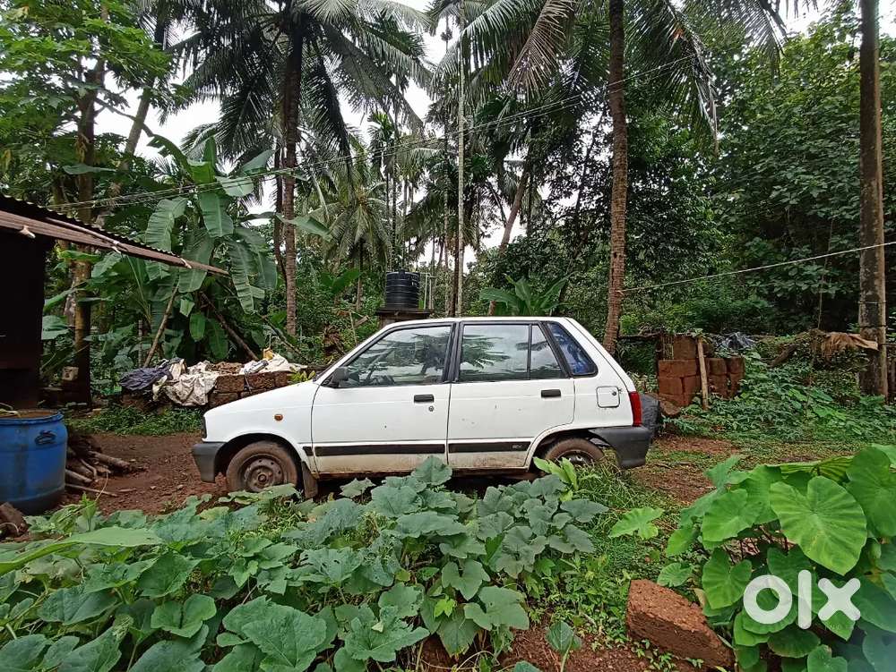 Maruti Suzuki 800 Petrol +lpg Manual 2005 Ac