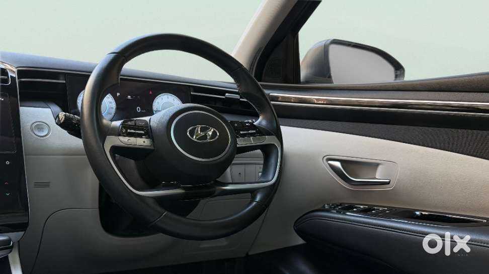 Hyundai Tucson 2.0 Platinum Petrol At, 2024, Petrol