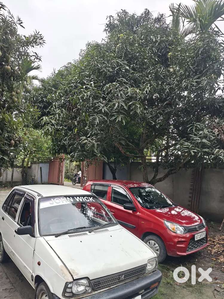 A1 Condition Car