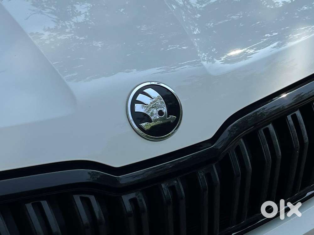 Skoda Kushaq 1.0 Tsi Style At, 2025, Petrol