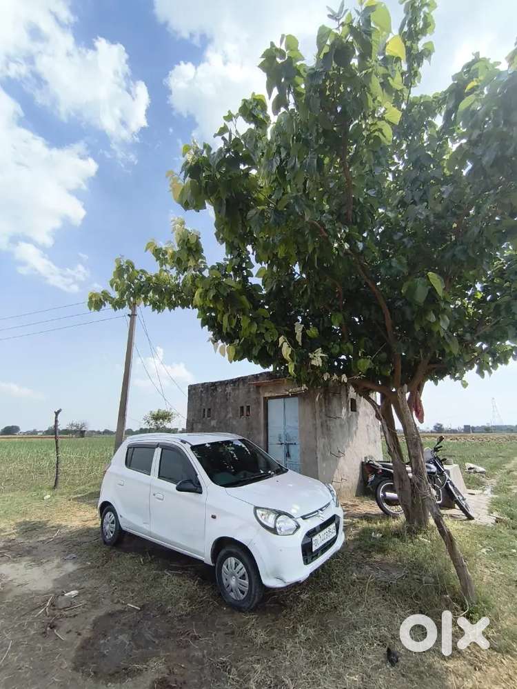 Maruti Suzuki Alto 800 2014 Cng Company Fitid 63000 Km Driven