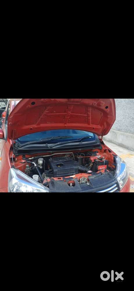 Well Maintanance