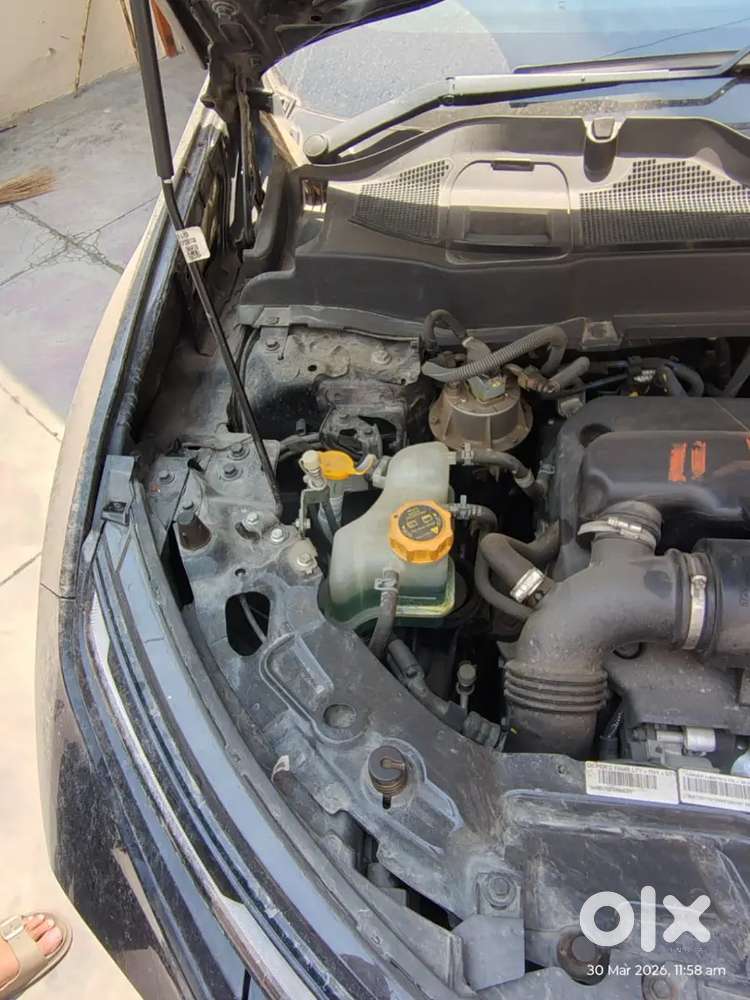 Tata Harrier 2024 Diesel 37000 Km Driven