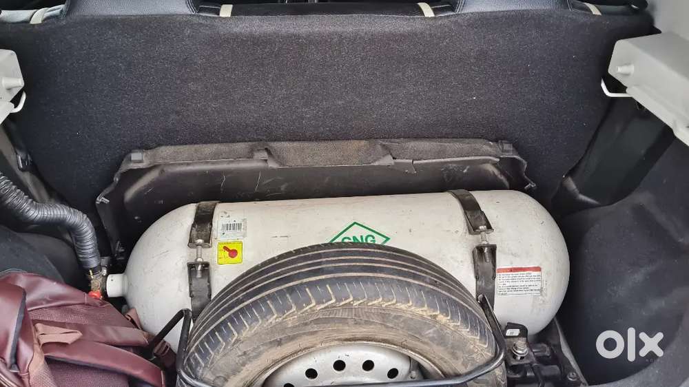 Maruti Suzuki Wagon R 2024 Cng Lxi
