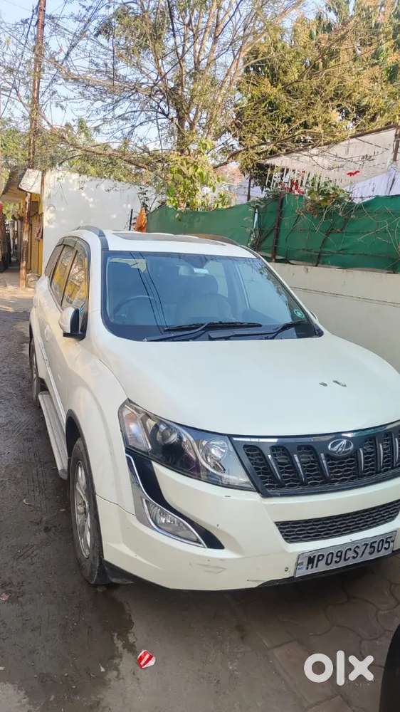 Mute Dial New Insurance Agrees