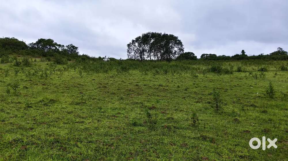 7 acre ST ज़मीन विक्रय हेतु उपलब्ध, कुड़कानार घटकावाली मे.