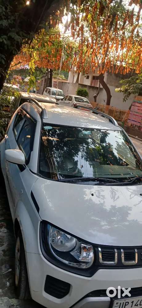 Brand New Condition