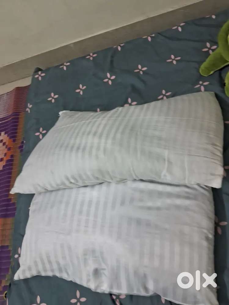 Set of 2 Pillows
