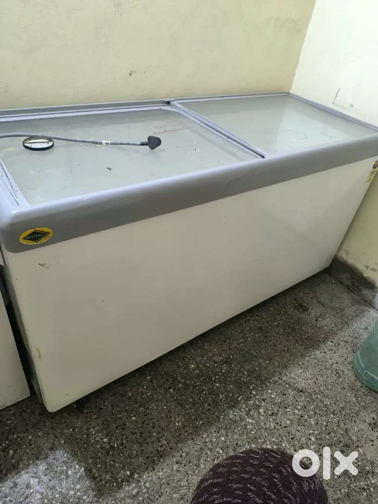 Western 450 liter 6 month purana