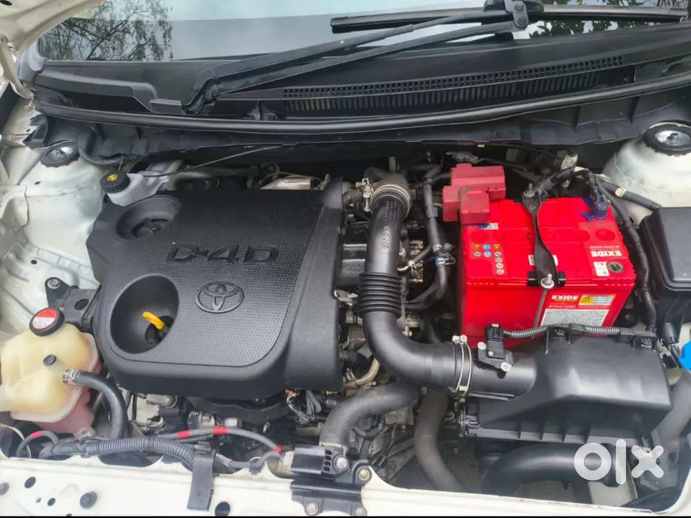 All Services Company Record. Globe Models