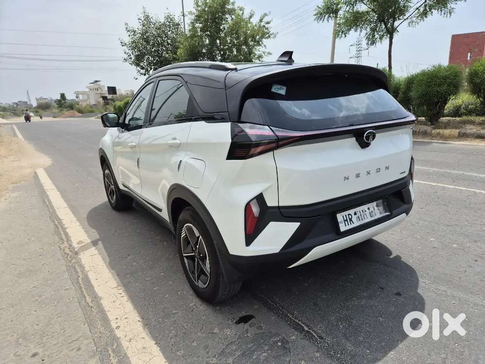Nexon Cng Creative Plus Ps Dt