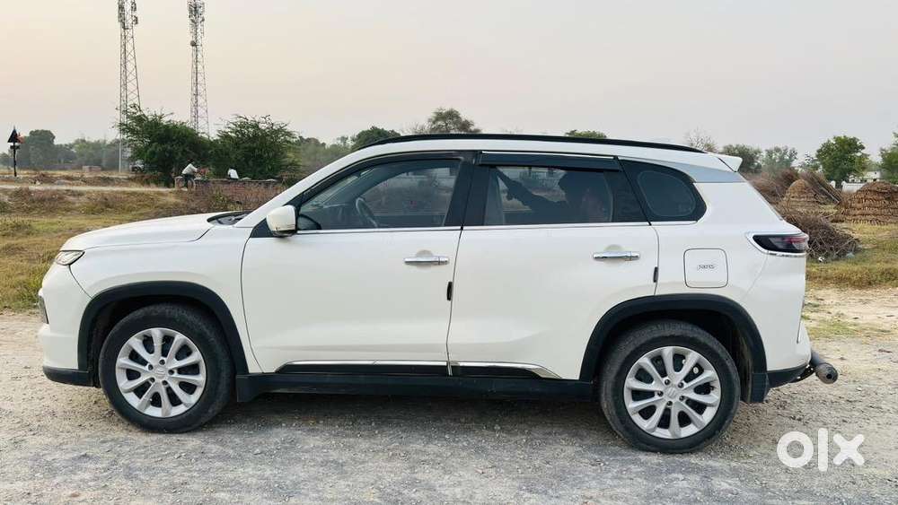 Maruti Suzuki Petrol 2024