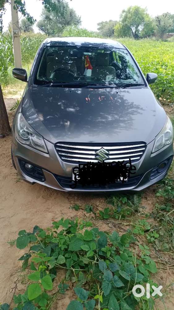 Maruti Suzuki Ciaz 2016 Diesel Car