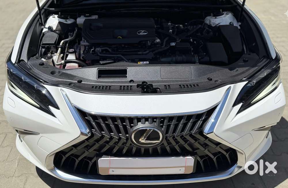 Lexus Es 300h, 2023, Petrol