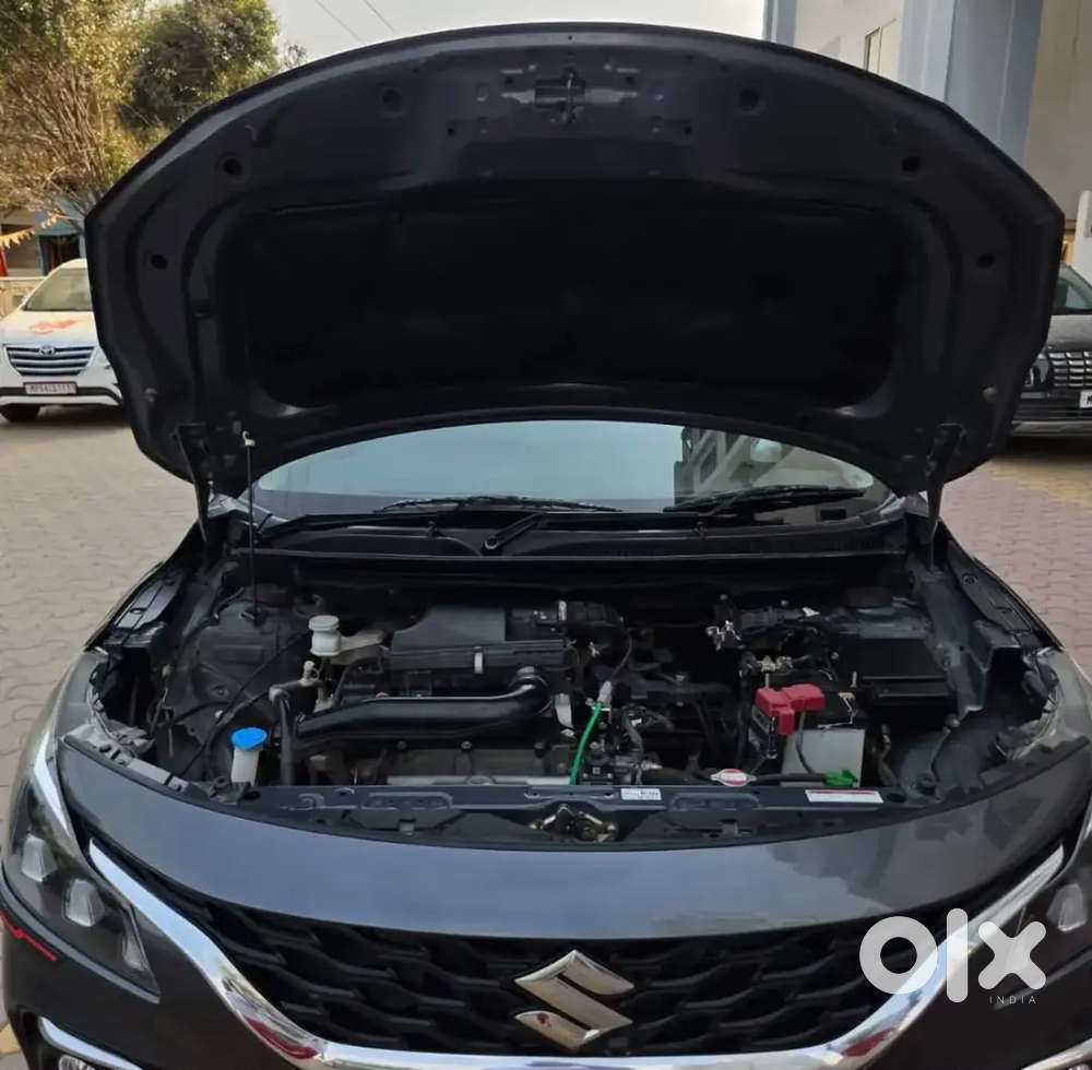 Suzuki Brand. 2023