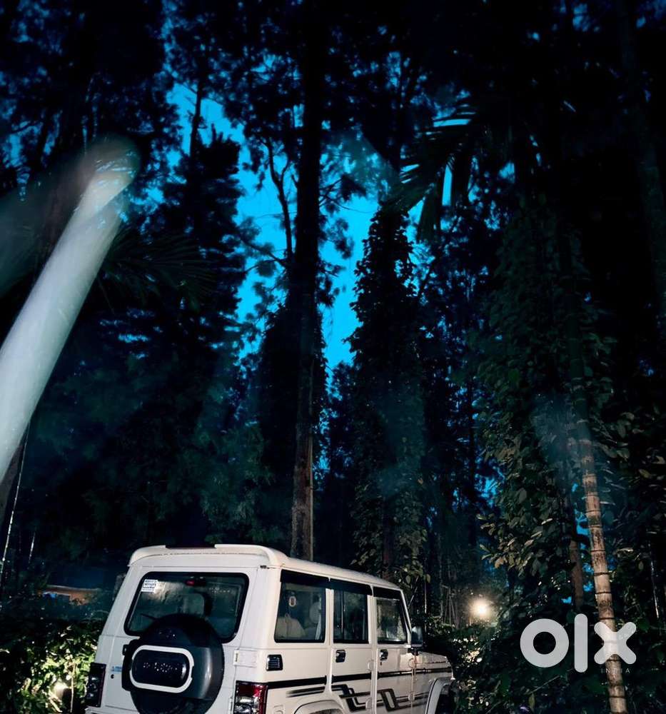 Mahindra Bolero Diesel Well Maintained