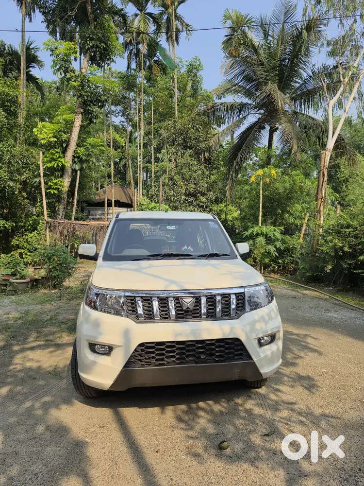 Mahindra Bolero Neo Plus 2026 Diesel 17321 Km Driven