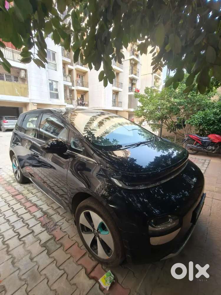Mg Windsor New