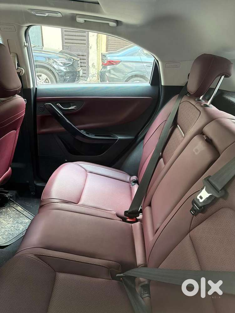 Tata Curvv 2024 Petrol Well Maintained