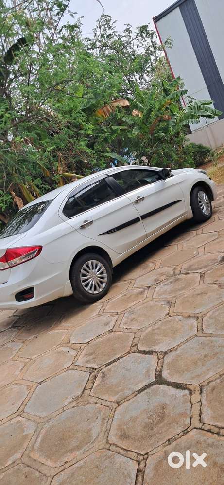 Maruti Suzuki Ciaz Sigma, 2025, Petrol