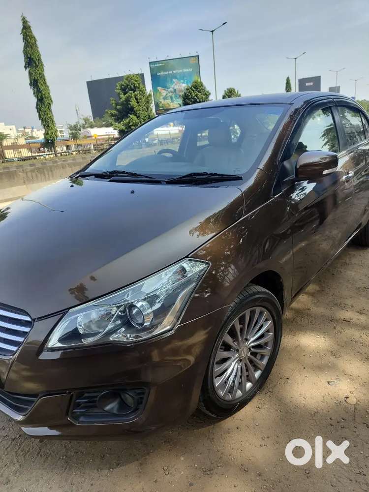 Ciaz Alpha