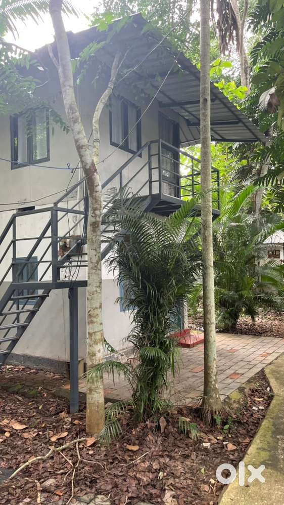 സിംഗിൾ റൂം കോട്ടേജ് മാസ വാടകക്ക്