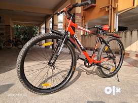 Olx single speed online