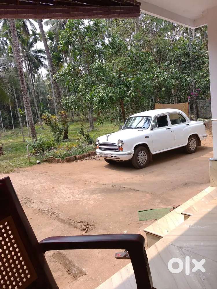 Hindustan Ambassador Classic 1500 Dsl