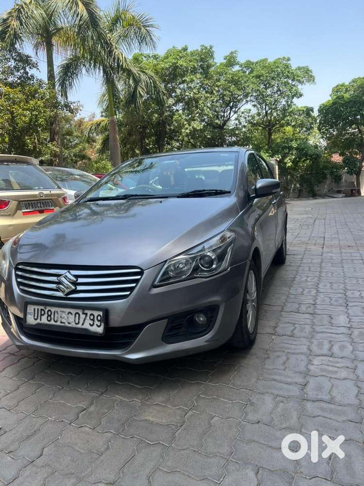 Maruti Suzuki Diesel 2017
