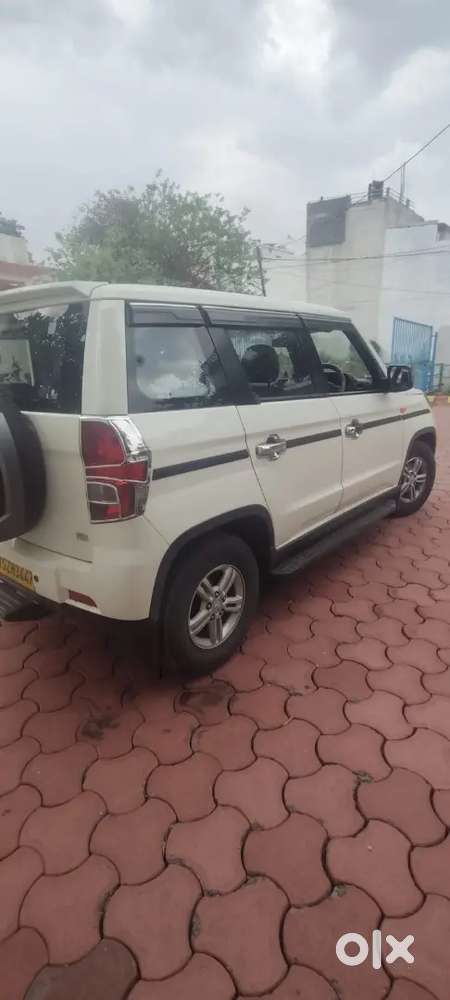 New Car Parches