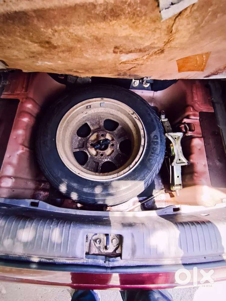 Santroxingxo Fcuptoapril2027 Limitededition
Topmodel 
Excellentrunning