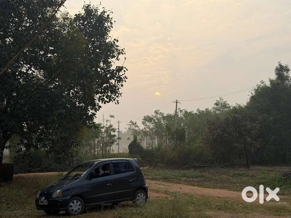 Hyundai Santro 2002 Petrol Well Maintained