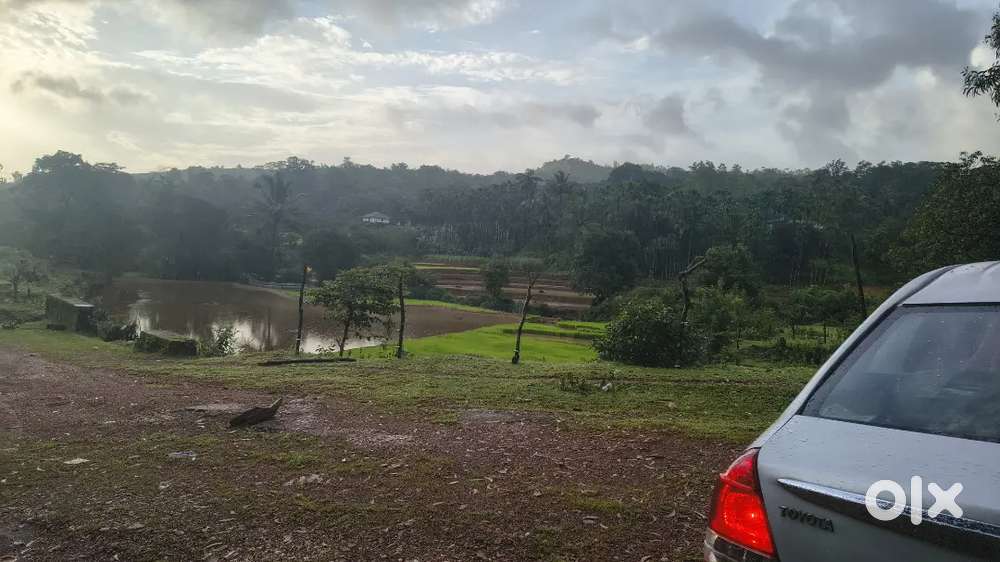 Toyota Etios 2013 Manual