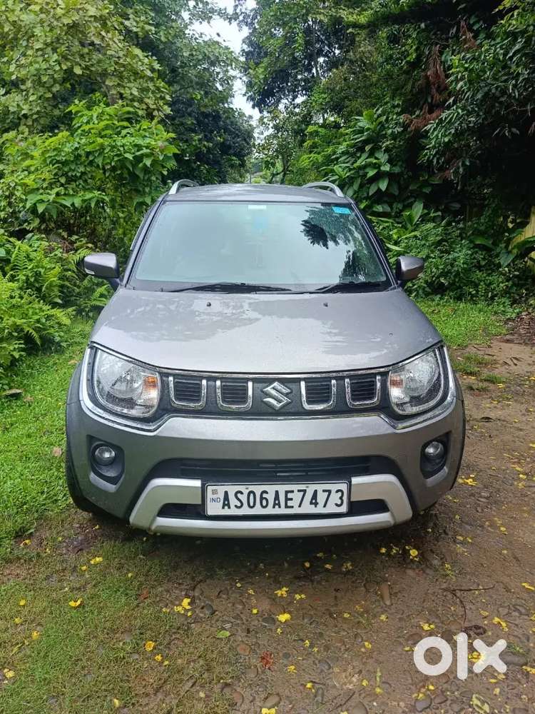 Maruti Suzuki Ignis 2021 Car