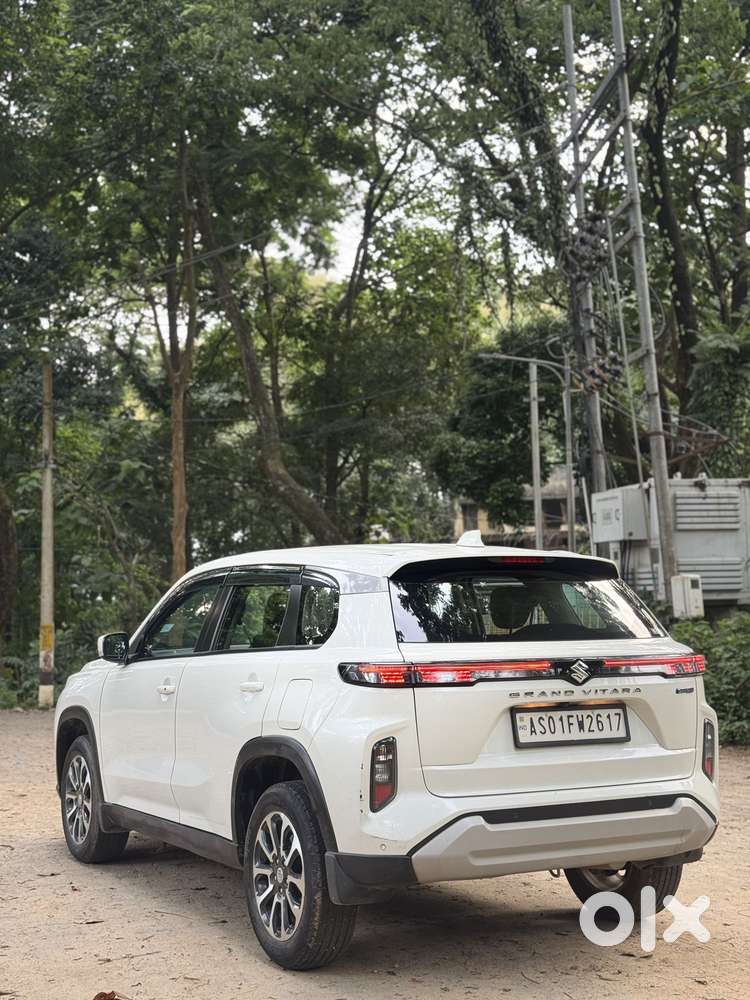Maruti Suzuki Grand Vitara 1.5 Delta Smart Hybrid, 2024, Petrol