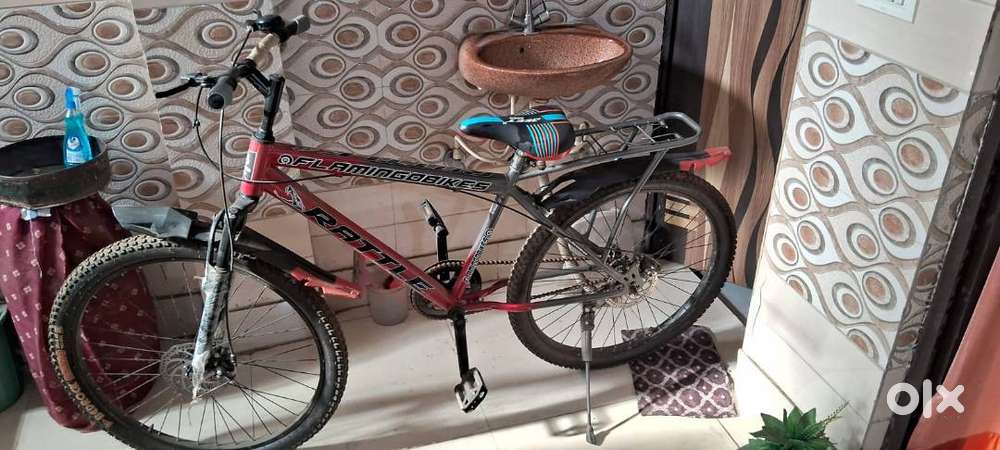 Flamingo's Rattle  bicycle for sale