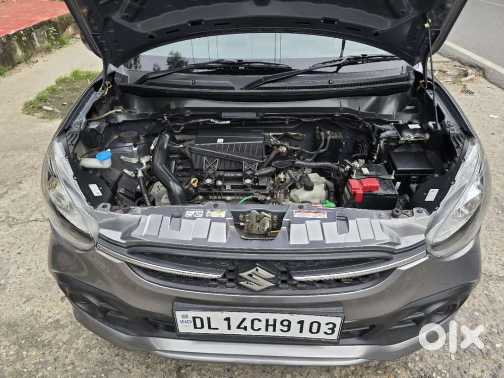 Maruti Suzuki Celerio 1.0 Vxi Amt, 2023, Petrol