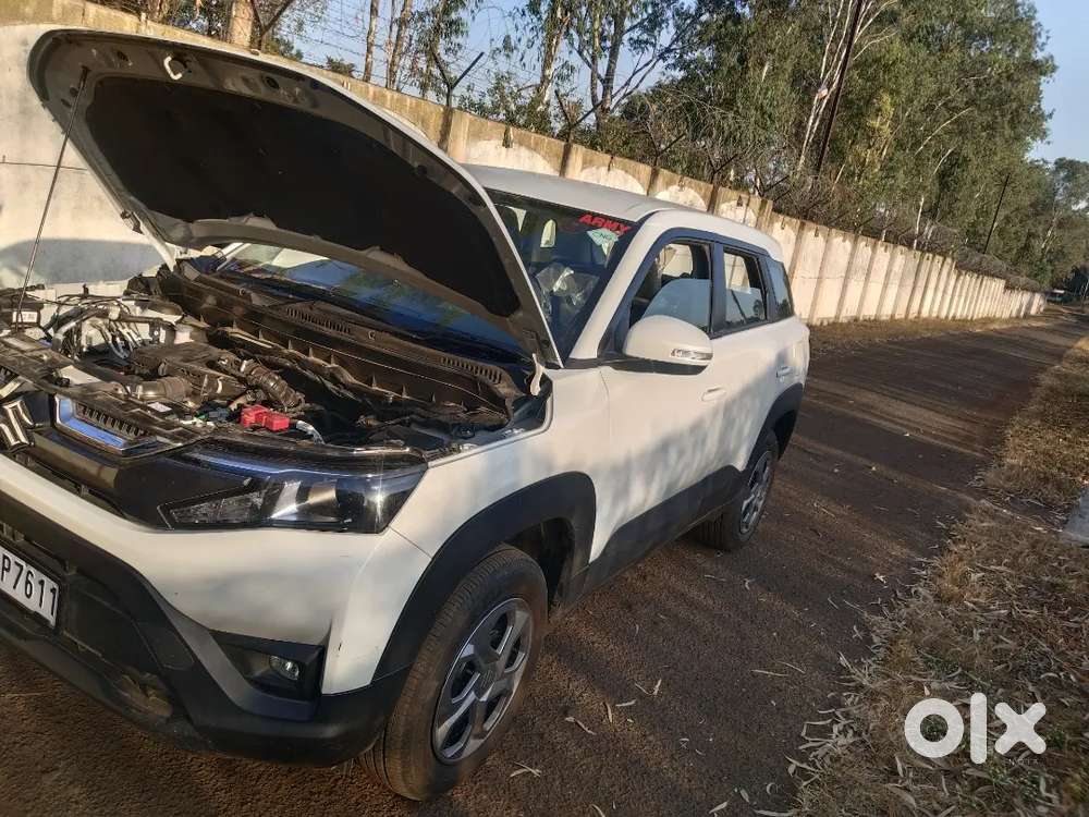 Brezza Cng Lxi