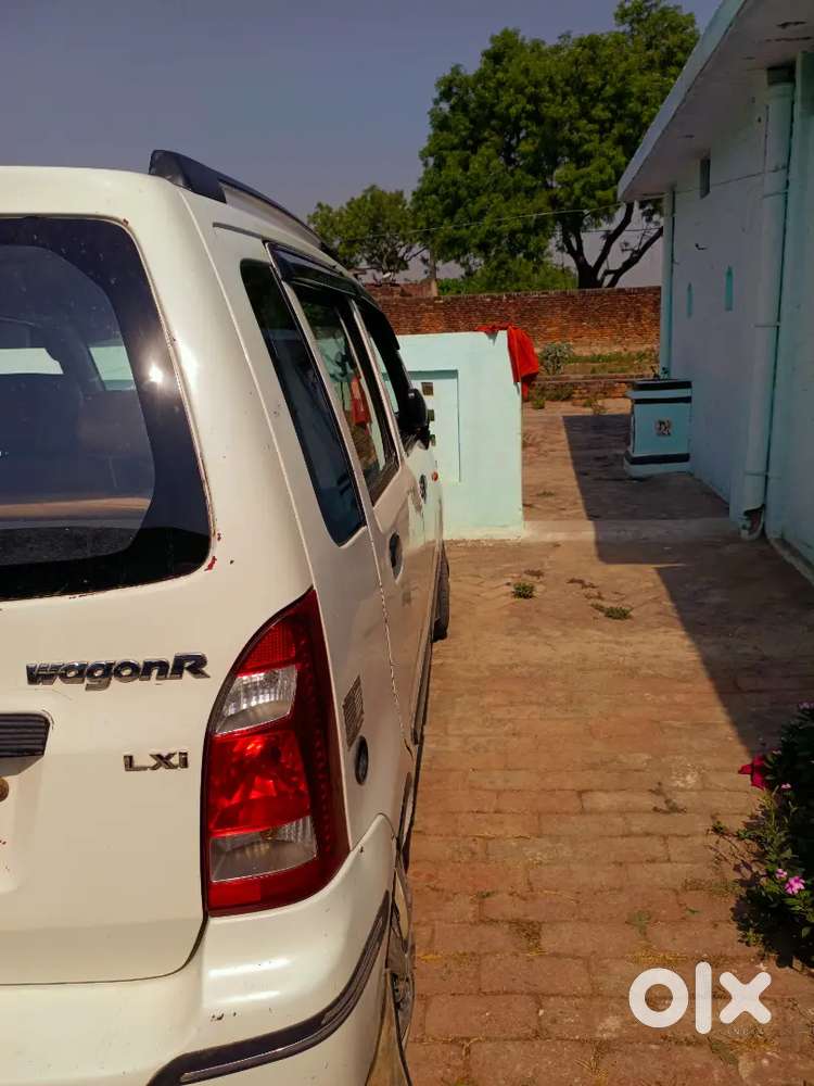 Maruti Suzuki Wagon R Flex Fuel 2010